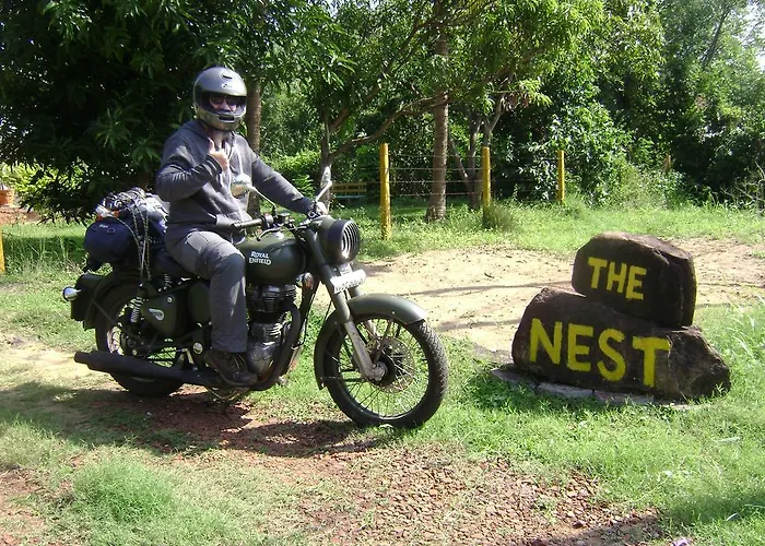 The Nest