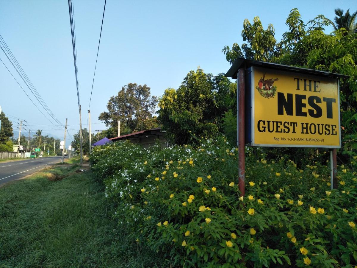 Guest house The Nest *