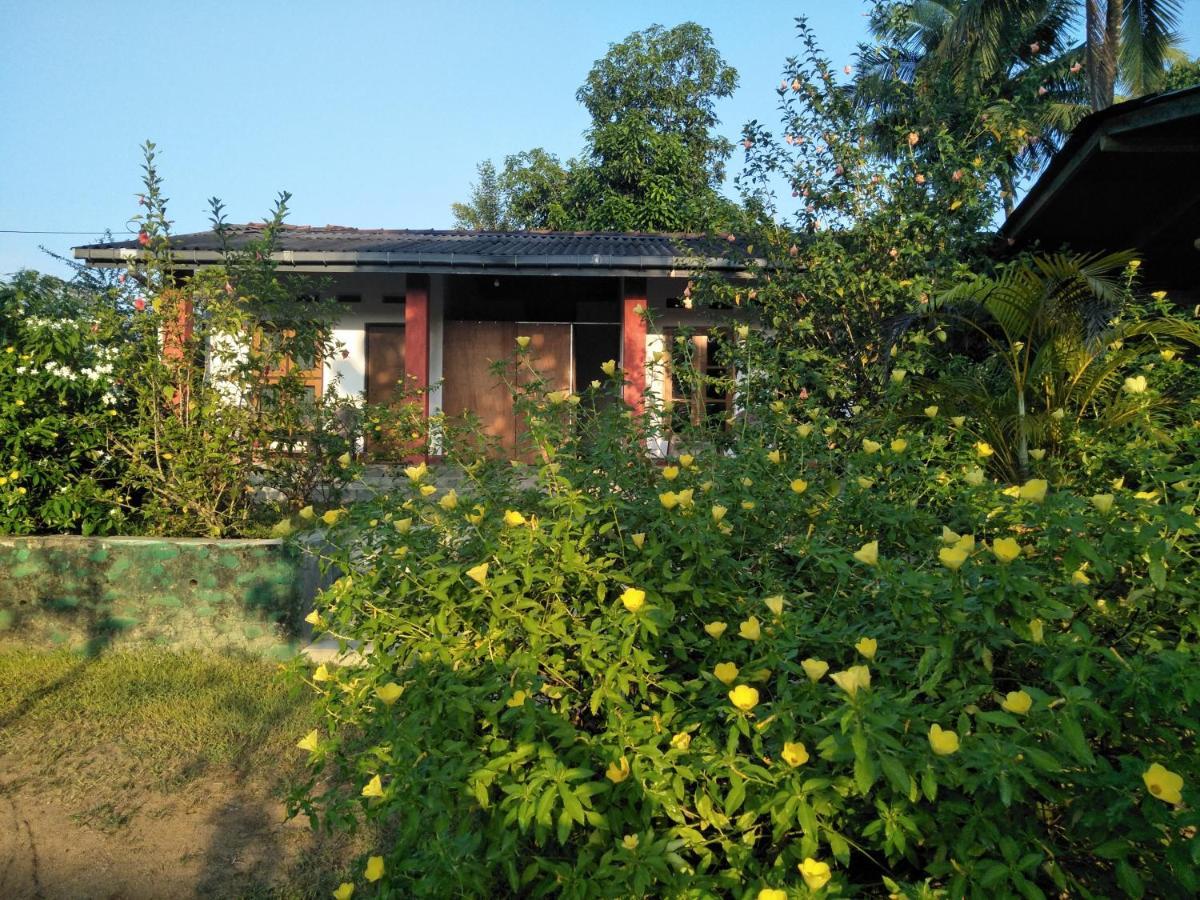 The Nest Guest house Mahiyanganaya