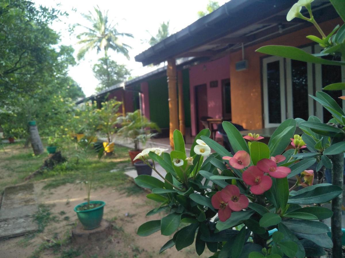 The Nest