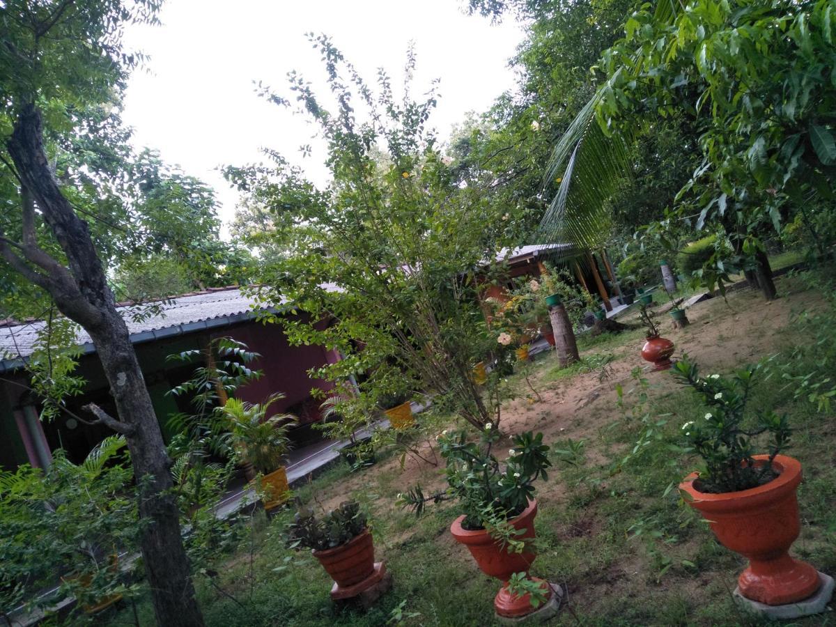 The Nest Guest house *