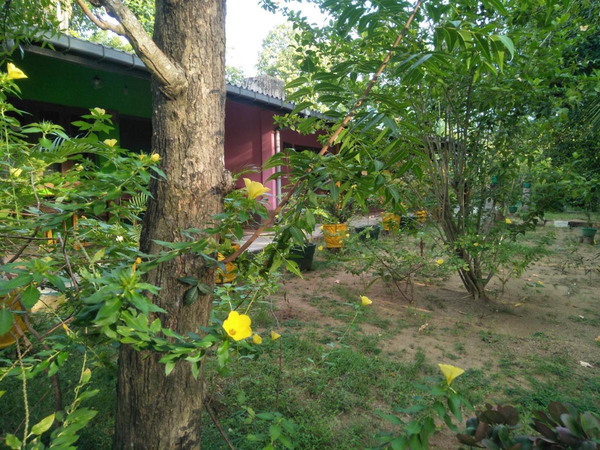 The Nest Guest house