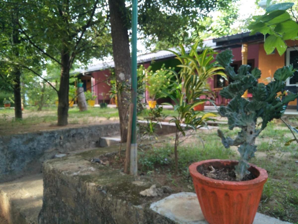 Guest house The Nest Mahiyanganaya