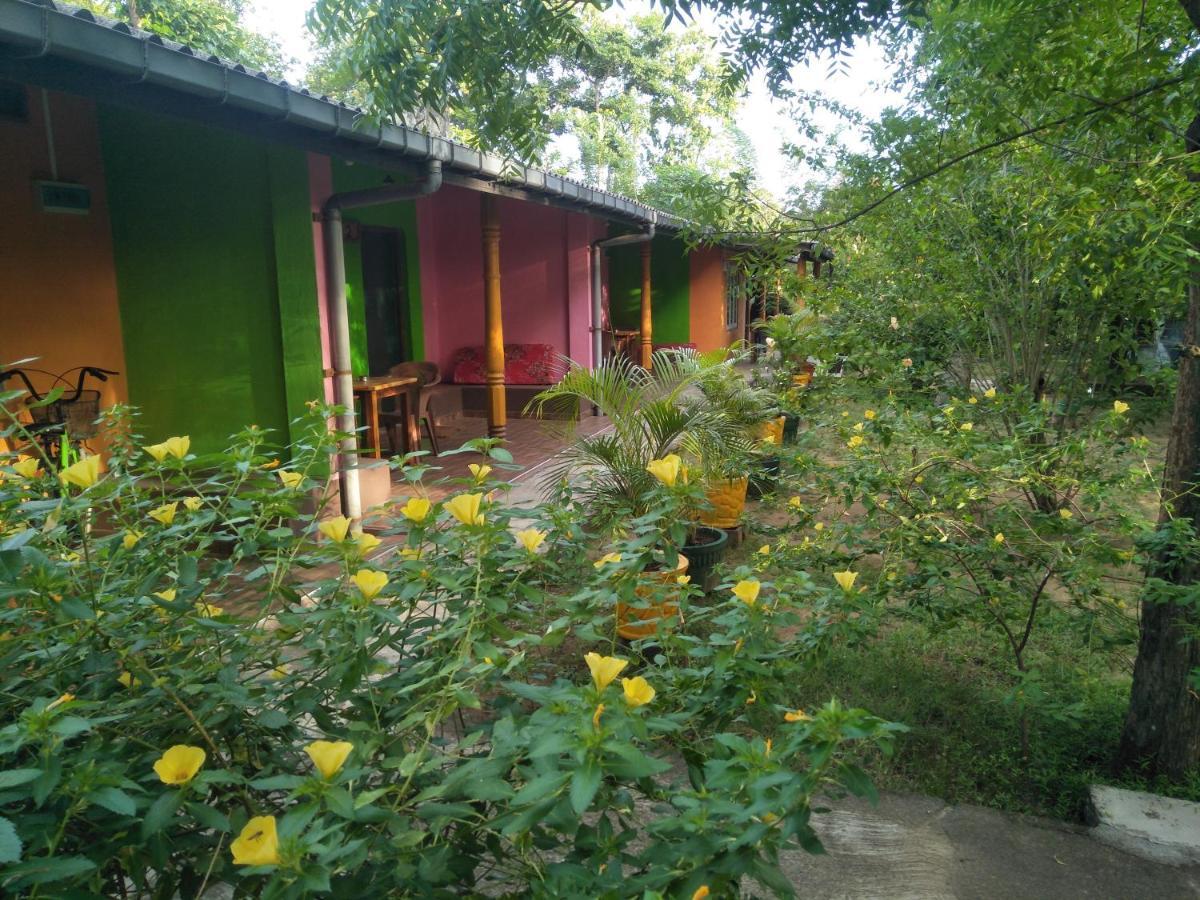 The Nest * Mahiyanganaya