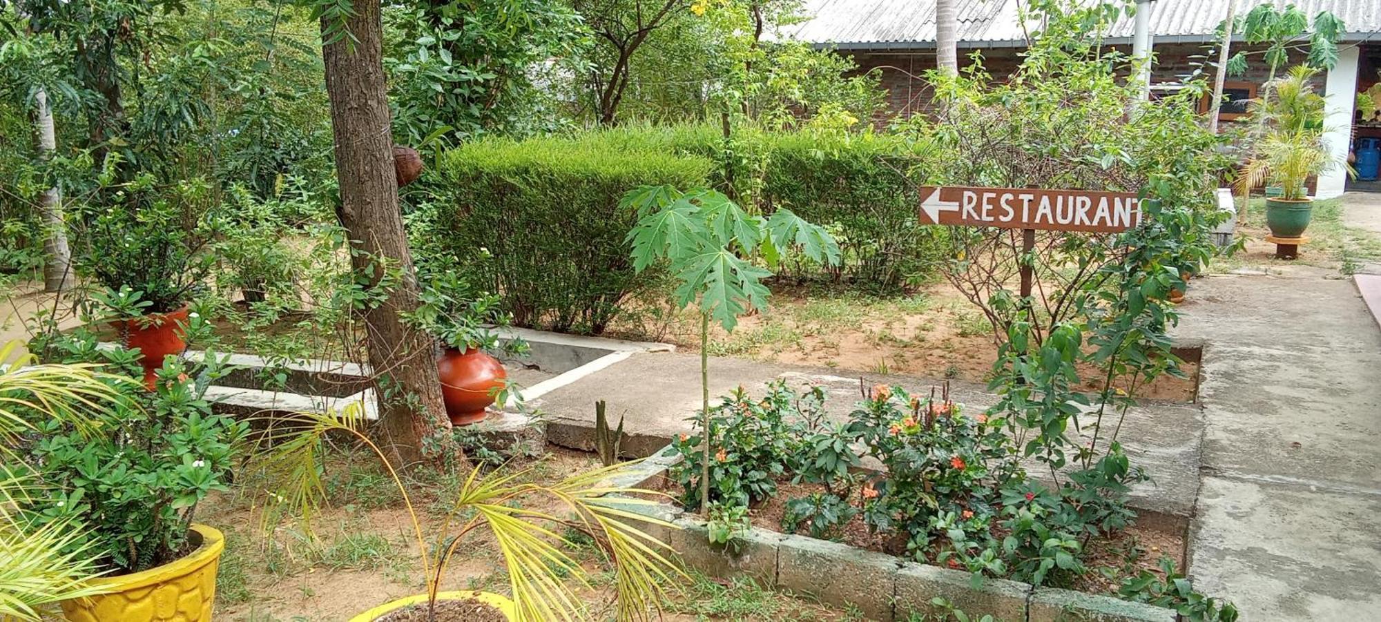 The Nest * Mahiyanganaya