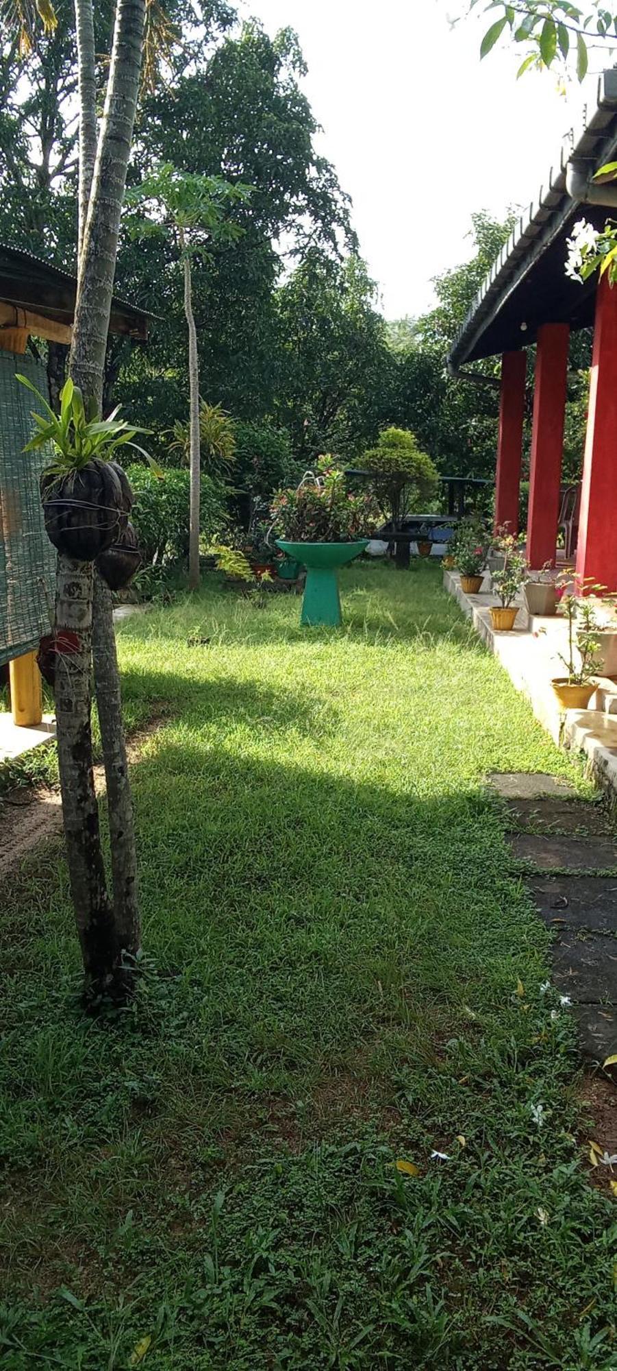 The Nest Mahiyanganaya